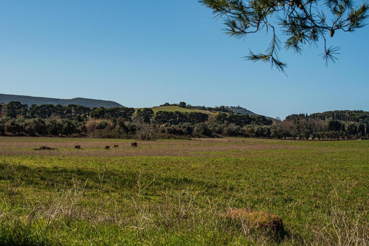 Poggio All'Agnello Sport & Active Holidays Populonia Exterior photo
